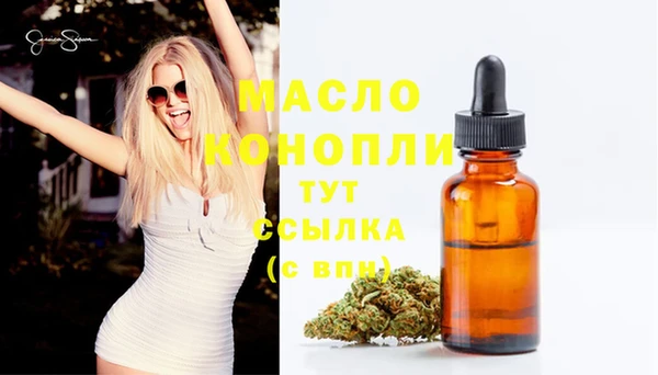 МДПВ Бородино