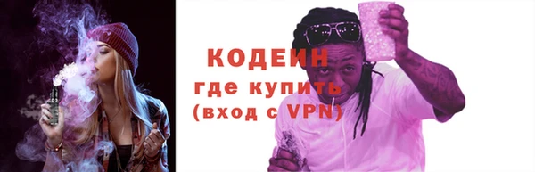 МДПВ Бородино