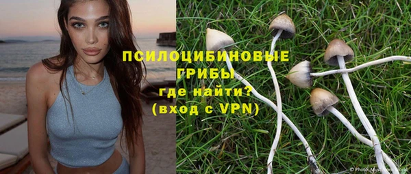 дживик Бугульма