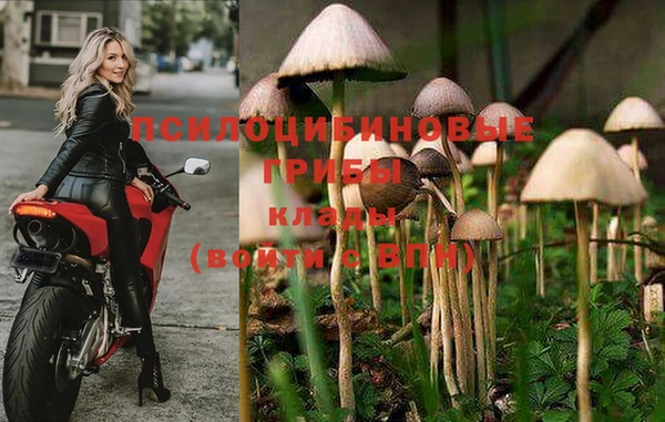 дживик Бугульма