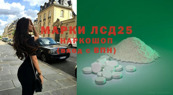 МДПВ Бородино