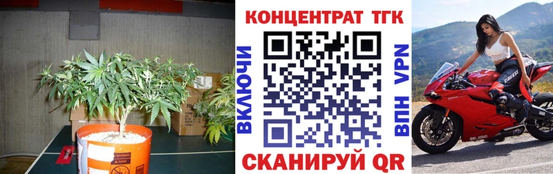 продажа наркотиков  Кировград  ТГК жижа 