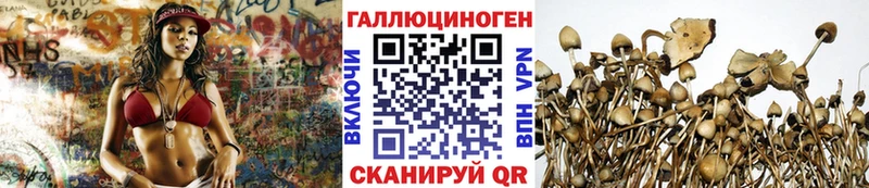 OMG зеркало  Кировград  Псилоцибиновые грибы GOLDEN TEACHER  цена наркотик 